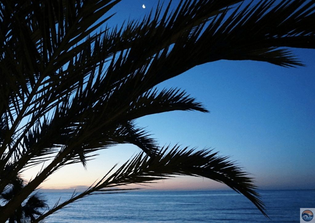 Marbella beach