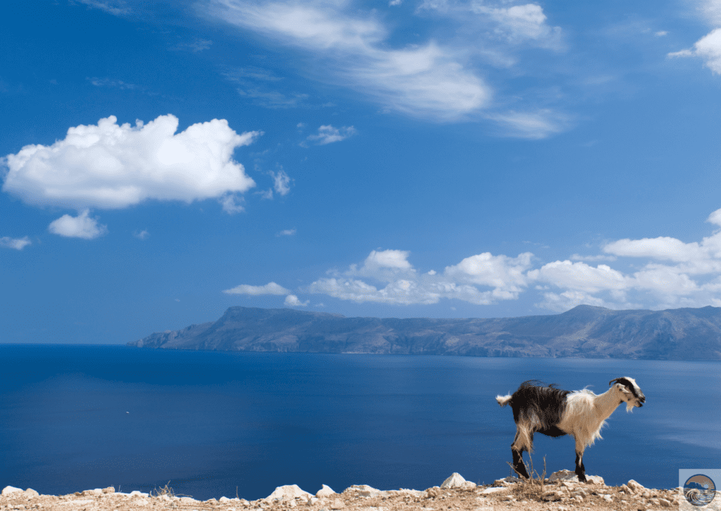 Your Dream Crete Vacation