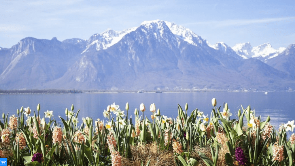 Montreux Lake